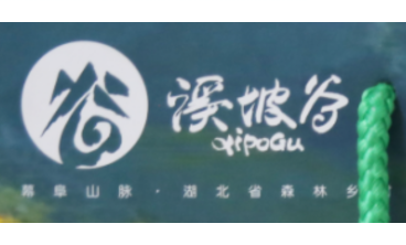客户案例